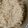 ねこぱんち☆れんだ's cooksnap of when they made セミドライおから（ケーキ用）.