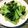 setzerTAKA's cooksnap of when they made 簡単！お弁当にもお勧め青梗菜の鶏ガラ炒め.