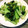 setzerTAKA's cooksnap of when they made 簡単！お弁当にもお勧め青梗菜の鶏ガラ炒め.