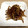さっちゃん（＾＾）／'s cooksnap of when they made いかなごのくぎ煮.