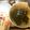 Michiyo☀︎'s cooksnap of when they made 簡単♡基本のだしの取り方（昆布とかつお）.