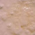 yokyomami's cooksnap of when they made 簡単！スープジャーで 手作りヨーグルト！.