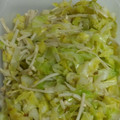 ぶんちょ♪'s cooksnap of when they made 作り置き簡単キャベツとエノキ柚子胡椒炒め.