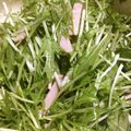 クック4GWJ3S☆'s cooksnap of when they made シャキシャキごま香る◎水菜とハムのナムル.
