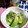 ＴＯＭＯＷＡＴ's cooksnap of when they made 初春の味！旬な蕾菜のかんたん和え物中華風.