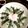 きつねとぶた's cooksnap of when they made 【湘南名物】お家で簡単 絶品しらす丼.