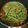 はらやす's cooksnap of when they made ＊隠元とナッツのガーリックバター炒め＊.