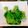 ☆micoco☆'s cooksnap of when they made 焼肉に春菊付け合せ♬好ちゃん神田本店風ஐ.