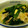 クックW2OESC☆'s cooksnap of when they made 簡単！ほうれん草の白出汁卵とじ！.