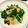 ﾀｲﾄﾘｽﾄ's cooksnap of when they made *･｡.★ ほうれん草ソテー ☆.｡･*.