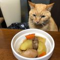 azlouol's cooksnap of when they made 圧力鍋で時短！鶏もも肉じゃが.