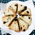 まぶたん's cooksnap of when they made ふんわり、サクサクおからスコーン.