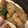 ♡ひな祭り♡'s cooksnap of when they made おいしい♪バジルから揚げ.