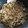 げんままま's cooksnap of when they made まいたけと鶏肉の炊き込みごはん.