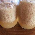 桜都次郎's cooksnap of when they made 甘酒酵母.