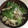 ＊なみへい＊'s cooksnap of when they made 10分！味覇でえのきとレタスの中華スープ.