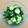金魚のひらり's cooksnap of when they made 簡単！昆布茶だけで❤きゅうりの浅漬け.