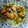 にゃにゃP's cooksnap of when they made 鶏肉とニンニクの芽のオイスターソース炒め.