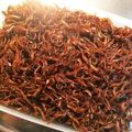ちいちゃん☆ママ's cooksnap of when they made いかなごのくぎ煮☆約束を守れば簡単です♪.
