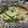白レバー's cooksnap of when they made 鮭としめじのホイル焼き.