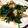 チョポリ子's cooksnap of when they made ほうれん草バター炒め★.