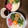 さらつむとし's cooksnap of when they made まぐろのたたきとねばねば3種丼！卵のせ♡.