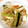 はやぴー＊'s cooksnap of when they made もやしときゅうりの中華風和え物.