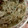 kumicyoo's cooksnap of when they made あさりと野菜の白だしバター蒸し.