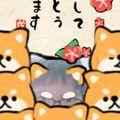クック2EQUIG☆'s cooksnap of when they made 炊き込みご飯☆癖になるヨモギはお好みで！.