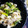 ブンタリア's cooksnap of when they made ホタテとエリンギとズッキーニのアヒージョ.