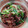 ちゅきぞうこ's cooksnap of when they made せりと牛肉のすき焼き風炒め.