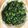 norikke's cooksnap of when they made 大根菜の炒め煮.