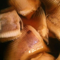 クックyumizo☆'s cooksnap of when they made かすべの煮付け.