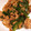 ♩キティ♩'s cooksnap of when they made 簡単に！ひき肉とピーマンの甘辛炒め♪.