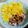 にーにやー's cooksnap of when they made 白菜と豚肉のからし酢みそ.