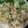 Ｍぱん's cooksnap of when they made ☆タイ料理☆簡単鶏肉のしょうが炒め.