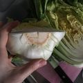 ラテハス's cooksnap of when they made 究極！レタス（キャベツ・白菜）の保存法。.