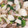 riko77's cooksnap of when they made ご飯おかわり！かぶと豚肉のこってり炒め.