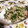 腹ペコくるみ's cooksnap of when they made 《簡単♪小鉢》ピーマンとえのきのツナ炒め.