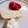 Ｆｒｅｄ's cooksnap of when they made テリーヌ フロマージュ.
