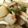 お願いひつじ's cooksnap of when they made おつまみ向け♪「大根サイコロステーキ」.