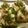 ☆Rokko☆'s cooksnap of when they made 簡単♡納豆ご飯on the魚河岸あげ®.