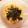 こーちゃん｡'s cooksnap of when they made 牛肉と青菜のオイスター炒め.