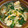 クックVOY1Q3☆'s cooksnap of when they made 厚揚げとほうれん草とエノキのピリ辛スープ.