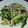 クックVOY1Q3☆'s cooksnap of when they made ほうれん草ときのこのバタポン 炒め.