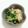 ｅｋ４'s cooksnap of when they made 菜の花の辛子和え.