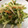 ぶりぶりぶーりちゃん's cooksnap of when they made セロリとイカの燻製でさっぱりサラダ.