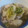 柊さくら's cooksnap of when they made カブと豚コマ☆簡単めんつゆ煮.