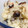 よし乃1987's cooksnap of when they made ごぼうの炊き込みご飯.