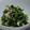 ヨシヨッシー's cooksnap of when they made ほうれん草簡単おひたし☆.